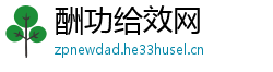 酬功给效网